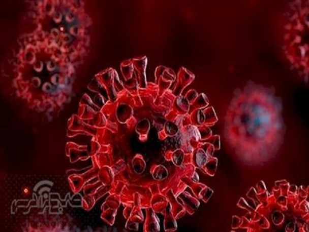 سیر صعودی فراگیری کووید 19 در کهگیلویه و بویراحمد