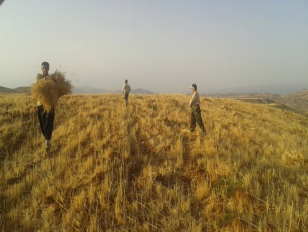 یک اردوی جهادی متفاوت در روستای «بهرغان» سپیدان