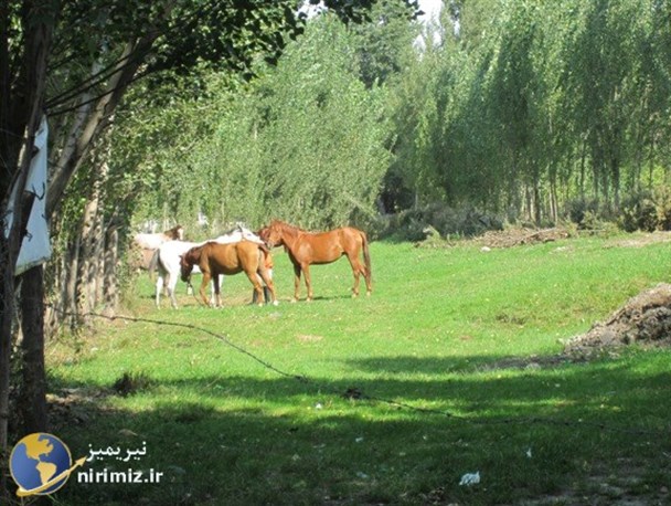 جلوه هایی زیبا از منطقه نمونه گردشگری بولاغلار نیر