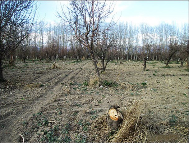 اجازه نمی دهیم افراد سودجو زمین های کشاورزی در استهبان را تغییر کاربری دهند