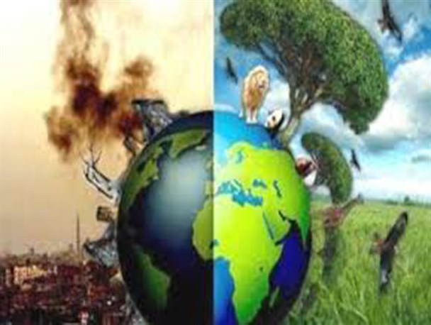 عشق به محیط زیست و تلاش برای حفظ سلامت و زیبایی آن باید از کودکی نهادینه شود