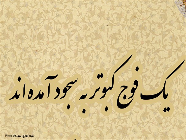 پوستر/یک فوج کبوتر به سجود آمده اند