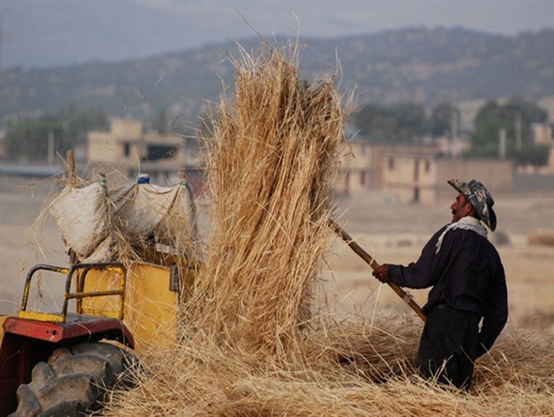 160 میلیارد تومان از طلب جوکاران گلستانی باقی مانده است