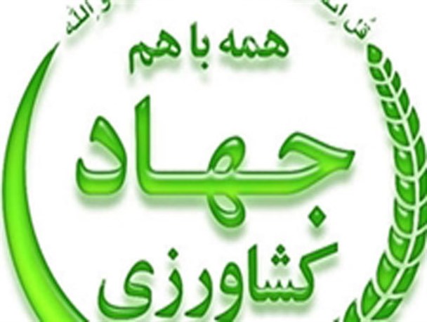 17 تعاونی کشاورزی فعال در استان زنجان وجود دارد/ حمایت از بخش کشاورزی موجب رونق روستاها و مانع مهاجرت روستاییان می‌شود