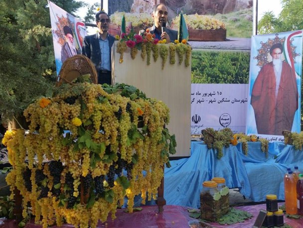 برداشت بیش از 3000 تُن انگور در مشگین‌شهر