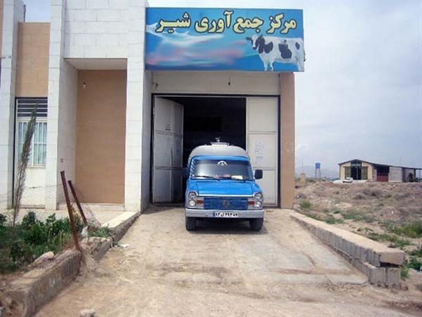 روزانه ۸ تن شیر دام از جرگلان خارج می‌شود