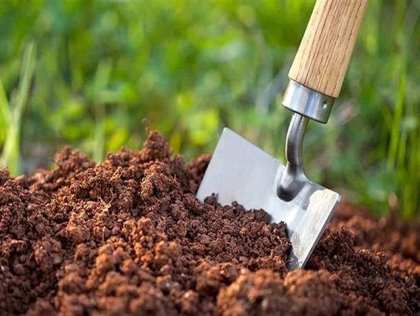کودشیمیایی فعلا گران نمی شود