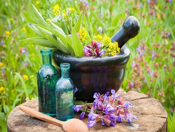 تولید زعفران و گل محمدی مشاغل خرد روستایی استان کرمان را گسترش داده است