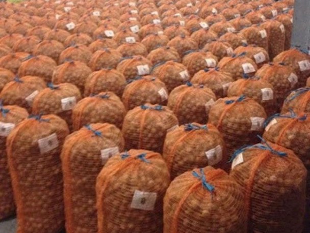 بازار در سیطره گردوهای قاچاق آمریکا، شیلی و بلغارستان/ واردات از طریق شبکه‌های سازمان یافته