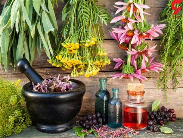 ارزآوری از دامن طبیعت/ ۸ هزار گونه گیاهی از ایران صادر می شود