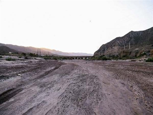 پیگیر تامین آب پایدار برای باغات زیتون هستیم/ ۱۶ هزار هکتار از باغات زیتون طارم بارده‌اند