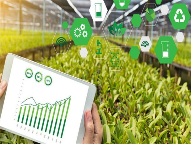 فناوری به داد امنیت غذایی ایرانیان رسید/ خطر در کمین تامین غذای ۸۰ درصد ایرانی ها