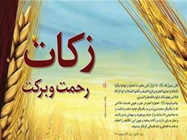تنگستانی‌ها 146 میلیارد ریال زکات پرداخت کردند