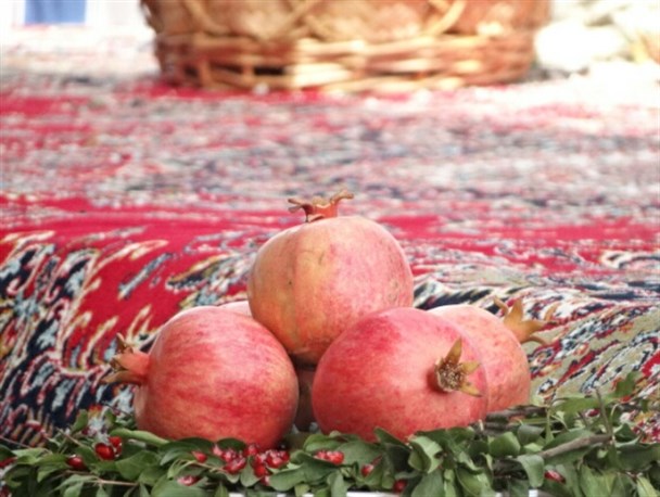 انار زیرتنگ سیاب برند ندارد/ خروجی آب لرستان منشأ تحول سایر استان‎‏هاست