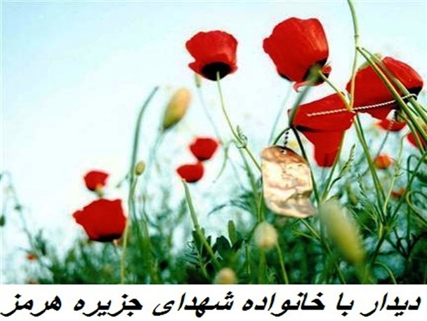 از خانواده شهدای جزیره هرمز دیدار و سرکشی شد