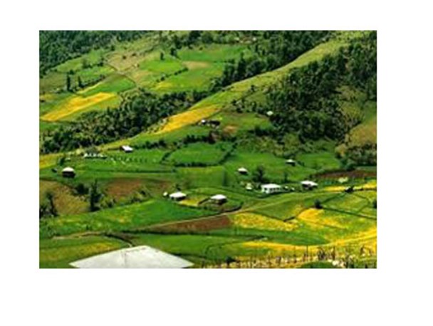 همکاری و تعامل در کنار جدیت تلاش برای آبادانی روستایی بهتر