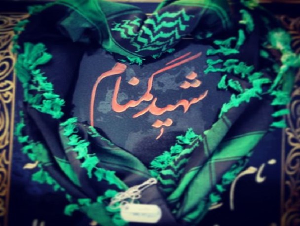 دانشگاه علوم پزشکی هرمزگان میزبان دو شهید گمنام خواهد بود.