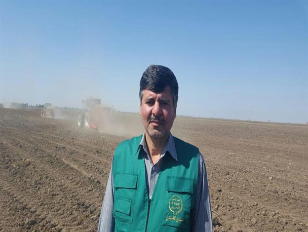 50 هزار هکتار "کلزا" در گلستان کشت می شود