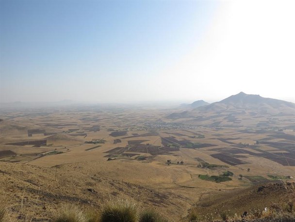 بیش از ۸۰ هزارهکتار اراضی شهرستان دهگلان زیرکشت پاییزی گندم