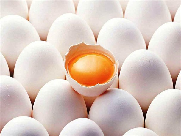 تولید سالانه ۱۱ هزار تن تخم مرغ در آذربایجان غربی