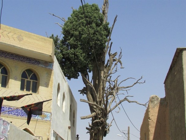 خواب زدگی مسئولین، قدیمی ترین میراث ملی سروستان را به دست فراموشی سپرد