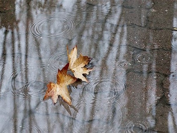 شروع دیرهنگام بارش‌های موثر در لرستان