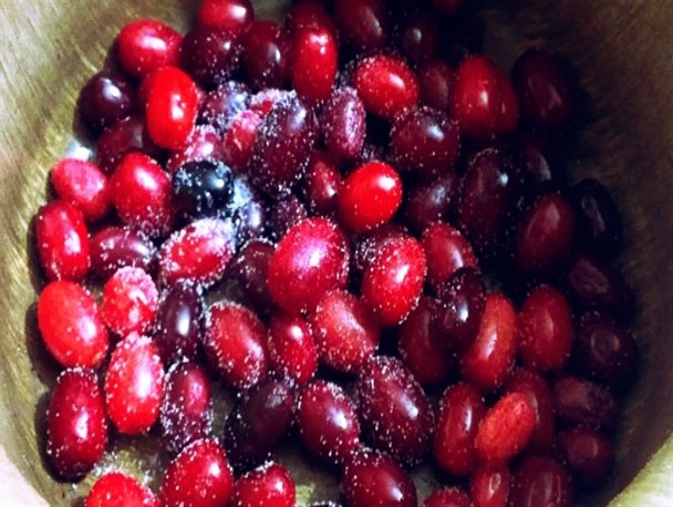 با خوردن زغال اخته به گردش خون در بدن‌تان کمک برسانید
