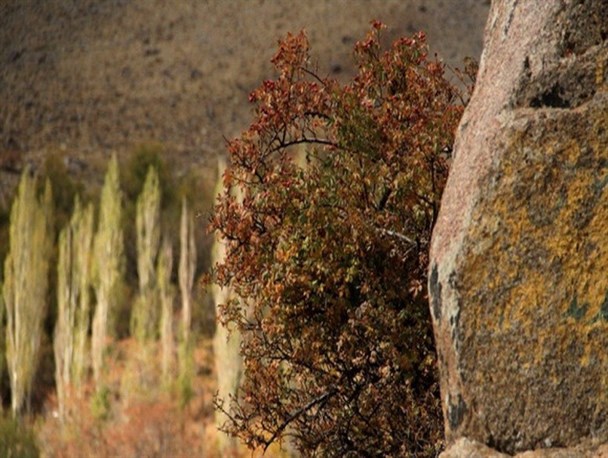 چشم‌انداز زیبای پاییز در کوهستان‌ الوند