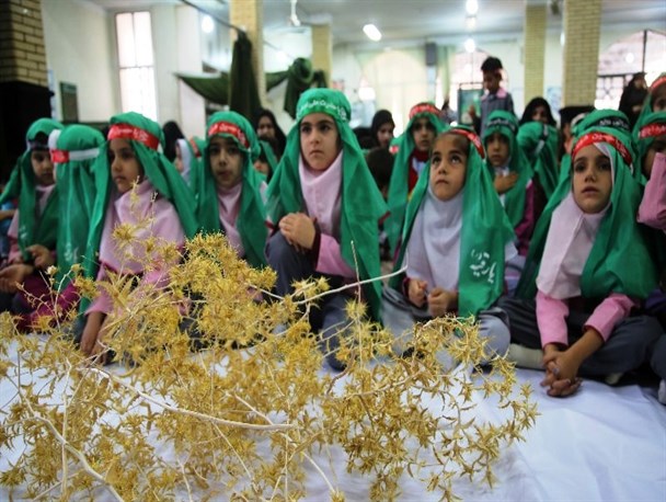 همایش سه ساله حسینی در دره شهر برگزار شد