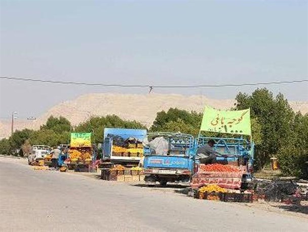 بی توجهی نهادهای نظارتی در برخورد با خودروهای میوه فروش متخلف