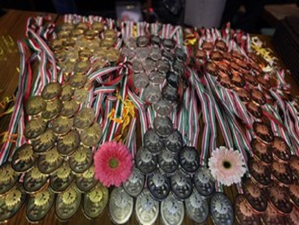 همدان رتبه سوم مسابقات ملی مهارت را کسب کرد/سهم تویسرکان یک طلا و یک دیپلم افتخار