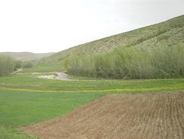 ۲۷۷۴ مترمربع از اراضی ملی دلیجان رفع تصرف شد