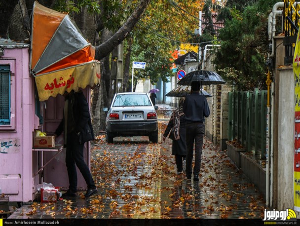 تصاویر/ خیابان‌های بارانی ارومیه در فصل پاییز
