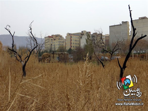 ریه تنفسی غرب استان تهران سرطانی شده است