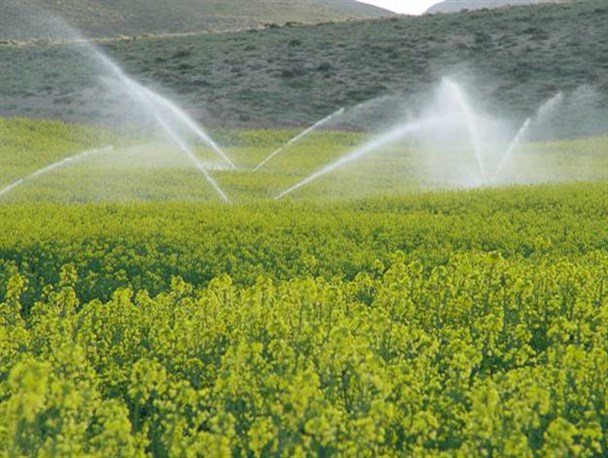 بهره مندی ۱۸۰ هکتار از اراضی دولت آباد سرخس از روش آبیاری نوین
