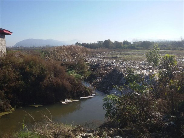 دامن سبزجنگل مامن زباله