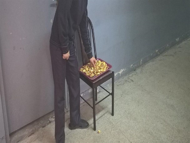 رکورد با شکوه ترین و کوتاهترین روز دانشجو در شهرستان انزلی ثبت شد+تصاویر