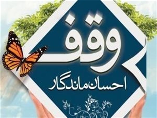 سبقه بیشتر بیمارستان های کشور ریشه در وقف دارد/ وقف پایه اقتصاد مقاومتی