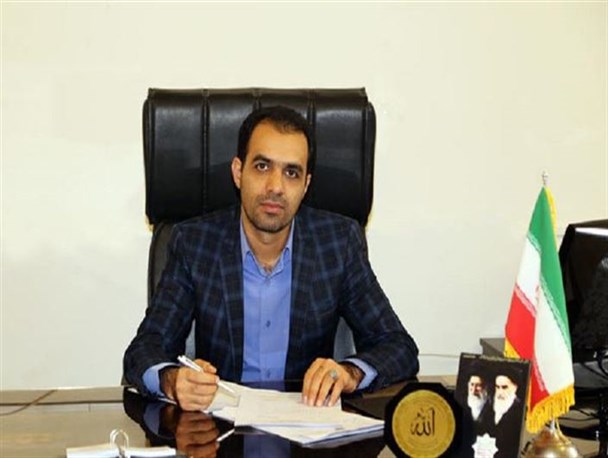 4 درخت گردوی روستای یارود در آستانه ثبت ملی