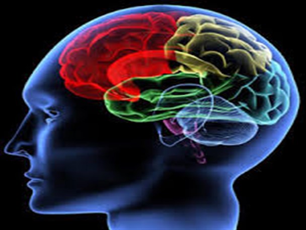 افراد دارای ضریب هوشی (IQ) بالا کمتر به بیماری اسکیزوفرنی دچار می شوند