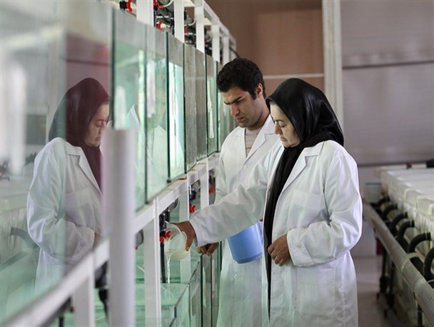 راه اندازی بزرگترین مرکز پرورش ماهیان زینتی توسط بانوی کارآفرین در جنوب تهران + تصاویر