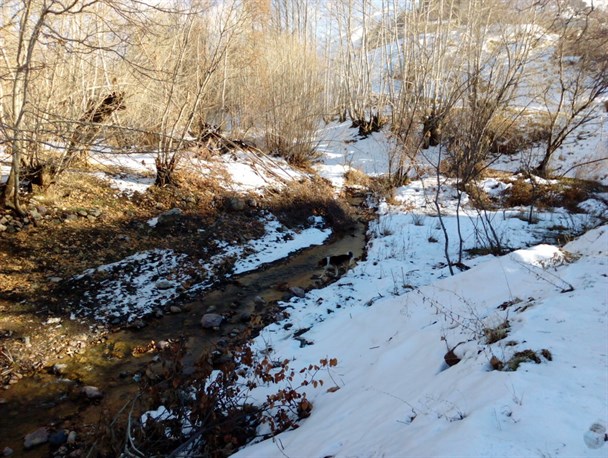 زیبایی های روستای صمغ آباد در قالب تصویر
