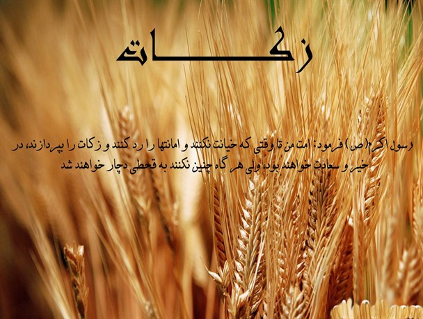 جلسه ترویج و احیا زکات در نصرآباد تربت جام برگزار شد