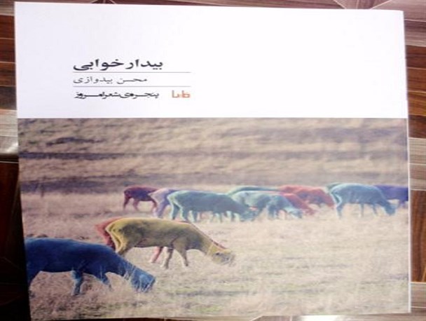درخشش بیدوازی در جشنواره ملی شعرنیاوران