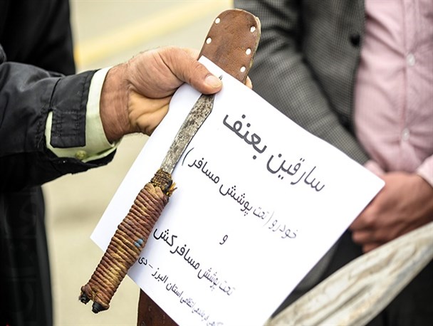 مانور عملکرد نیروی انتظامی استان البرز در دو هفته اخیر/ تصاویر