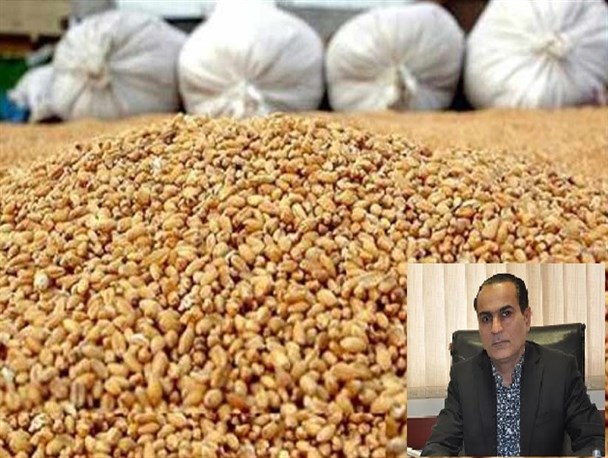 افزایش ۸۶ درصدی صادرات خوراک دام و طیور از خراسان رضوی به افغانستان و ترکمنستان