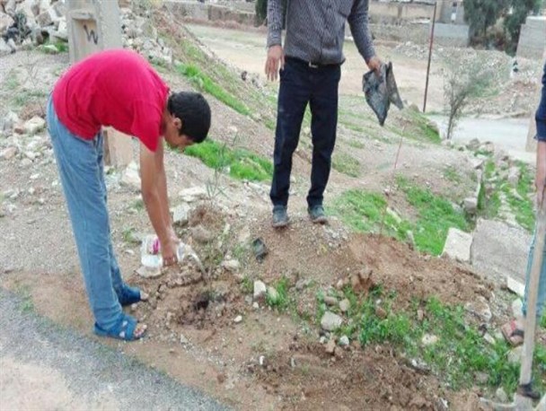 کاشت 150 اصله نهال بیاد شهدای کوی شهید رحیم پور مسجدسلیمان+تصاویر