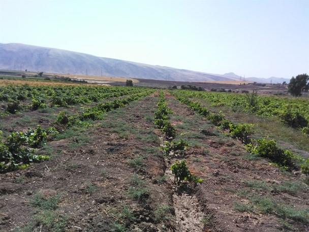 حمایت بسیج سازندگی از کارآفرینان نقش مهمی در تحقق اقتصاد مقاومتی دارد / تلاش و تجربه مهمترین عامل موفقیت درکسب و کار است