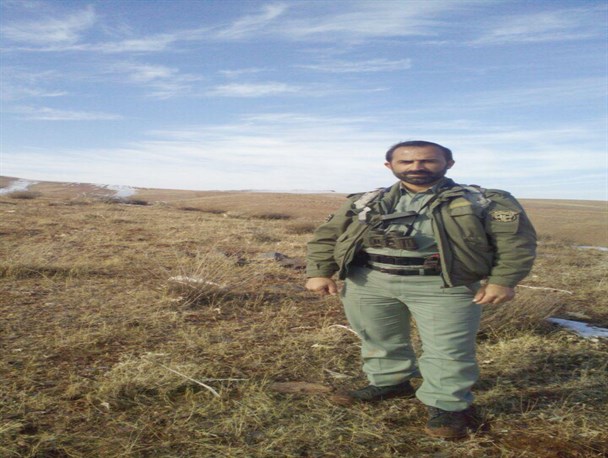 اتمام سرشماری قوچ و میش و کل و بز در منطقه انگوران/تعداد ۶۷۸ راس قوچ و میش و ۷۵ راس کل و بز در منطقه انگوران شناسایی شد+تصاویر