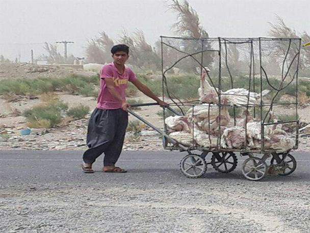 مدرسه، بستر مناسبی برای آموزش اقتصاد مقاومتی است